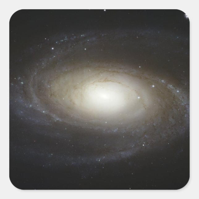 Spiral Galaxy M81 Square Sticker (Front)