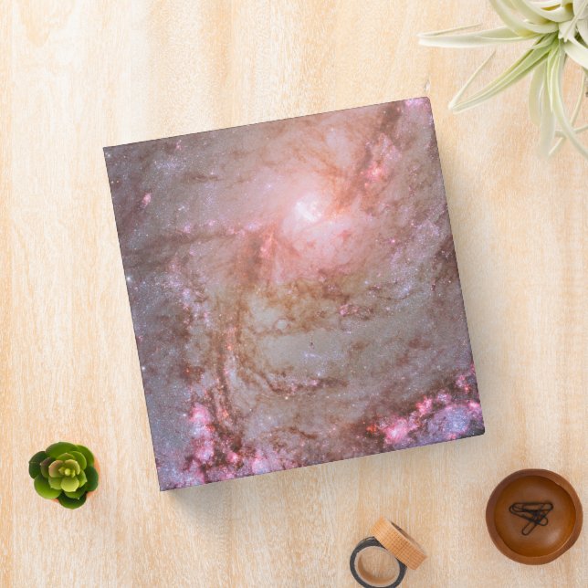 Spiral Galaxy M83, Ablaze With Star Formation. Binder (In Situ)