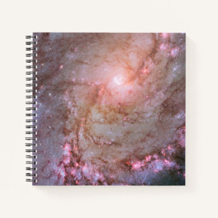 Spiral Galaxy M83, Ablaze With Star Formation. Notebook