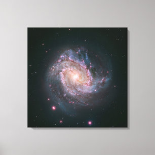 Spiral Galaxy M83 (NASA) Canvas Print