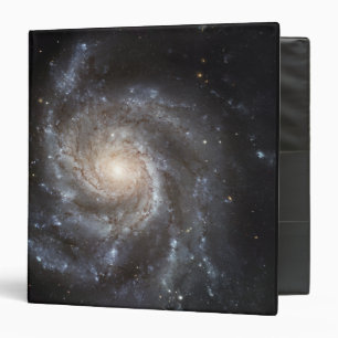 Spiral galaxy Messier 101 Binder