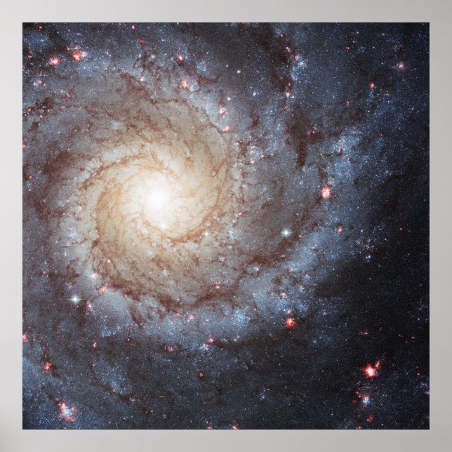 Spiral Galaxy Messier 74 (M74) | NGC 628 | Hubble Poster (Front)
