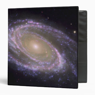 Spiral galaxy Messier 81 Binder