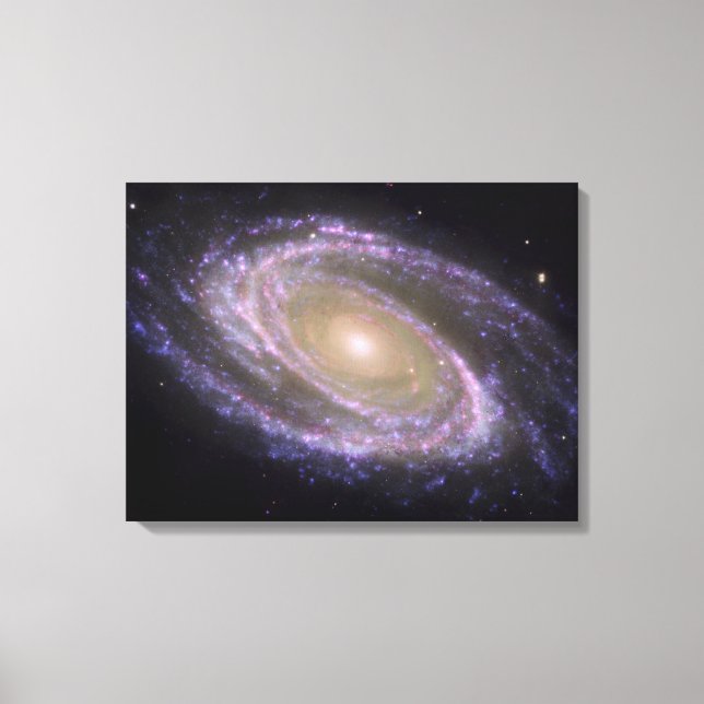 Spiral galaxy Messier 81 Canvas Print (Front)