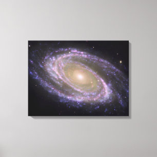 Spiral galaxy Messier 81 Canvas Print
