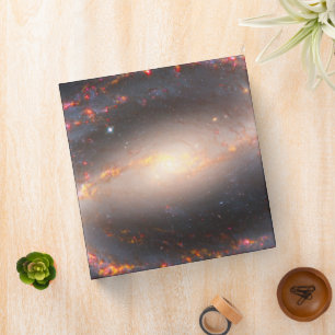 Spiral Galaxy Ngc 1300. Binder