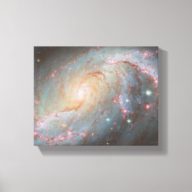 Spiral Galaxy NGC 1672 Canvas Print (Front)