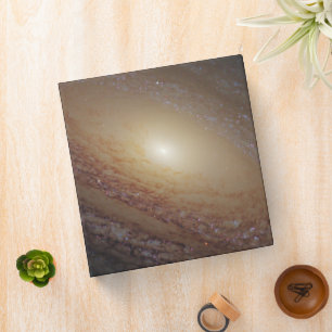 Spiral Galaxy Ngc 2841 Binder