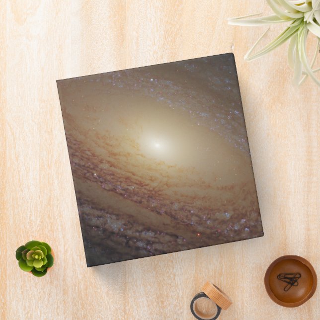 Spiral Galaxy Ngc 2841 Binder (In Situ)