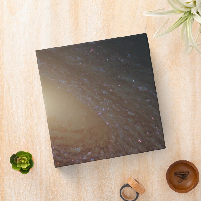 Spiral Galaxy Ngc 2841 Binder (In Situ)