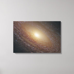 Spiral Galaxy Ngc 2841 Canvas Print
