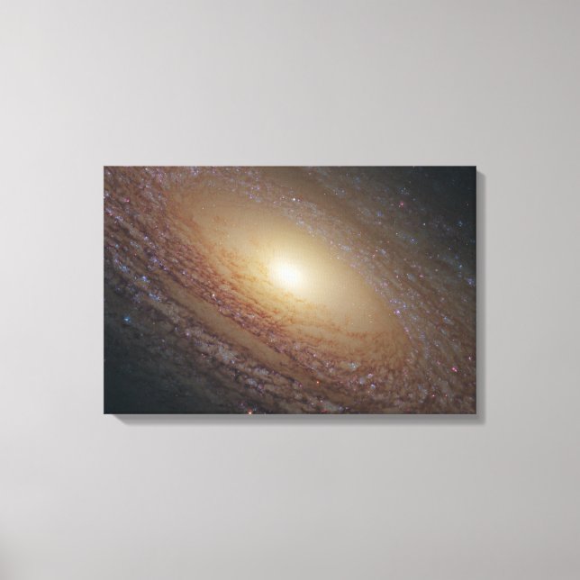 Spiral Galaxy Ngc 2841 Canvas Print (Front)