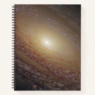 Spiral Galaxy Ngc 2841 Notebook