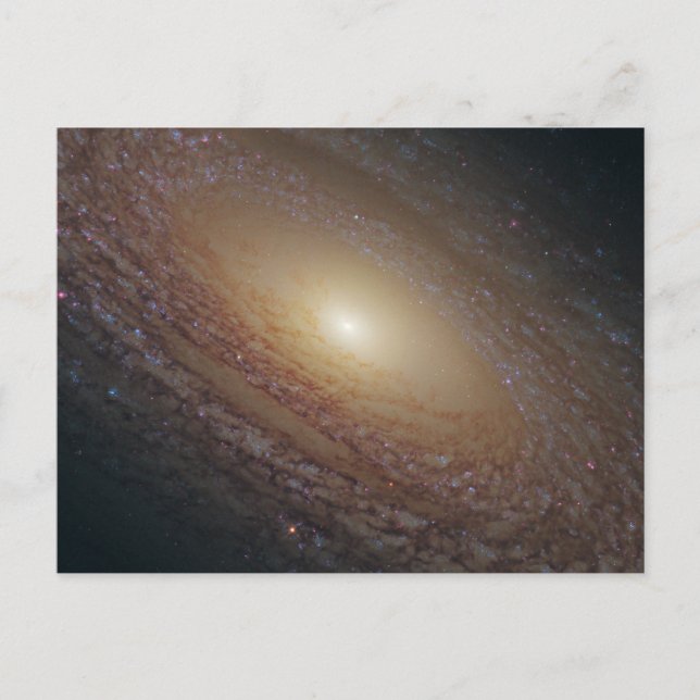 Spiral Galaxy Ngc 2841 Postcard (Front)