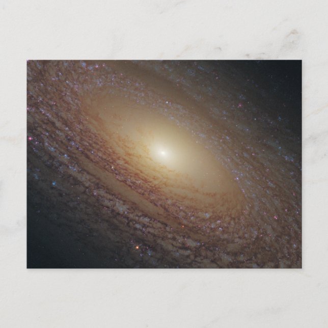 Spiral Galaxy NGC 2841 Postcard (Front)