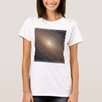 Spiral Galaxy Ngc 2841