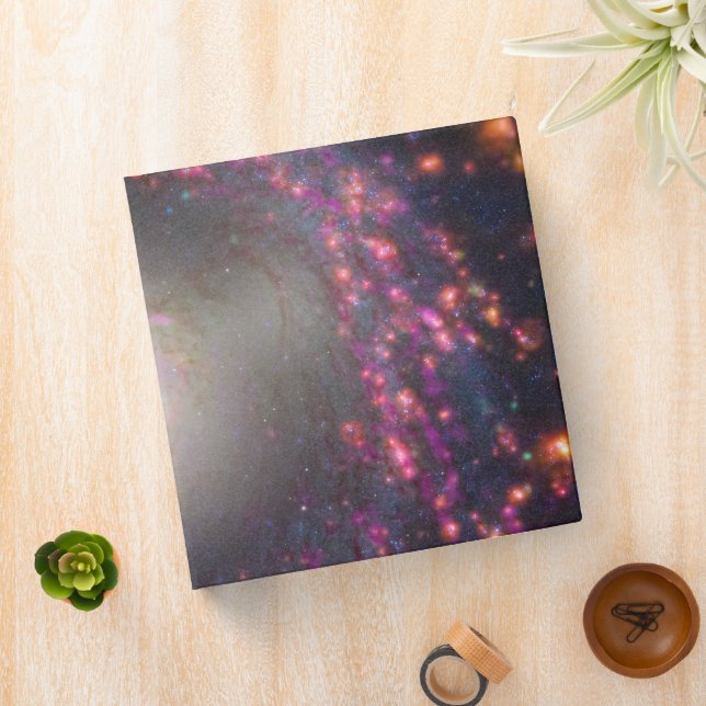 Spiral Galaxy Ngc 3351. Binder (In Situ)