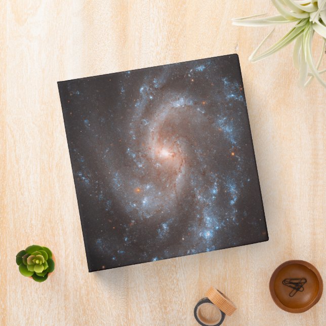 Spiral Galaxy Ngc 5584 Binder (In Situ)