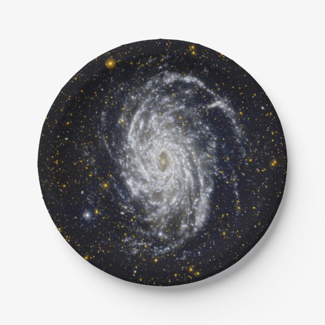 Spiral Galaxy Paper Plate (Front)