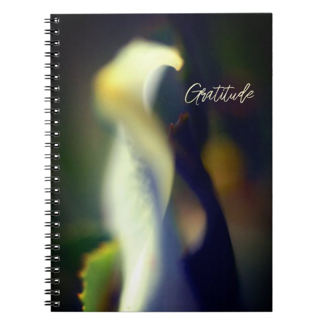 Spiral Gratitude Journal (Front)