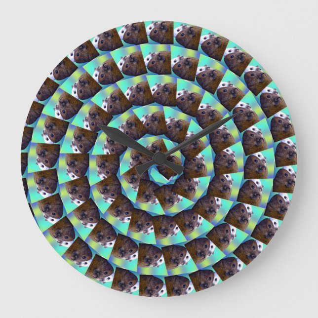 Spiral Guinea Pig Pattern, Large Clock (Front)