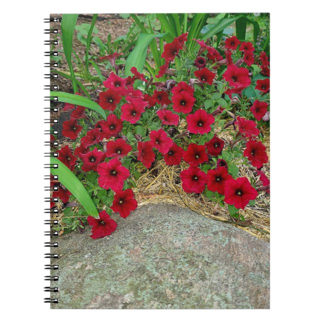 Spiral Notebook (Front)