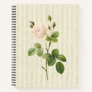 Spiral Notebook Beige Rose Floral