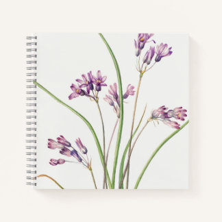 Spiral Notebook: Botanical Art Design (Hyacinth) N Notebook