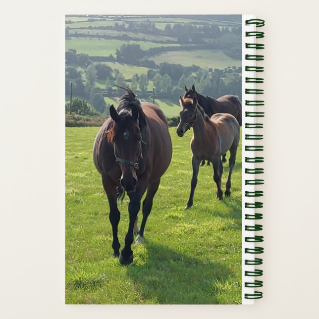 Spiral Notebook Farrier  (Back)