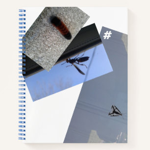 Spiral Notebook/INSECTS/MMETROPOLIM DESIGN Noteboo Notebook