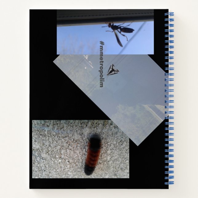Spiral Notebook/INSECTS/MMETROPOLIM DESIGN Notebook (Back)