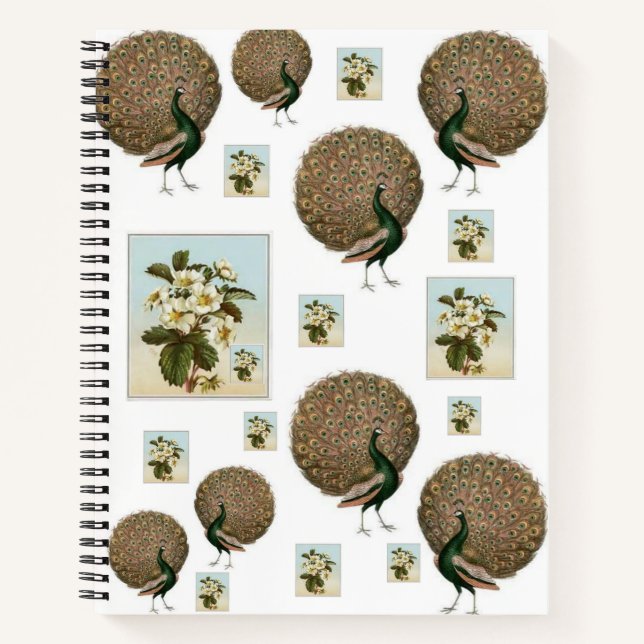 Spiral Notebook Peacock (Front)