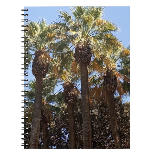 Spiral Notebook Pulm Trees (Front)