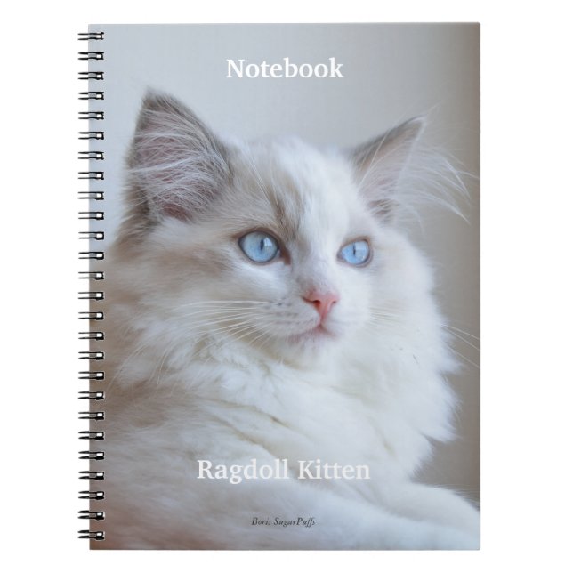 Spiral Notebook - Ragdoll Kitten Boris SugarPuffs (Front)