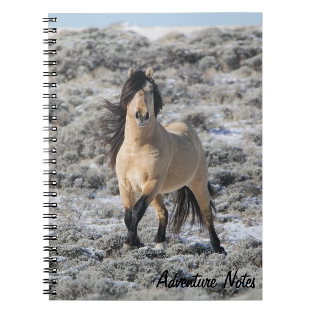 Spiral Notebook w/ Wicahpi Hinhpaya (Front)