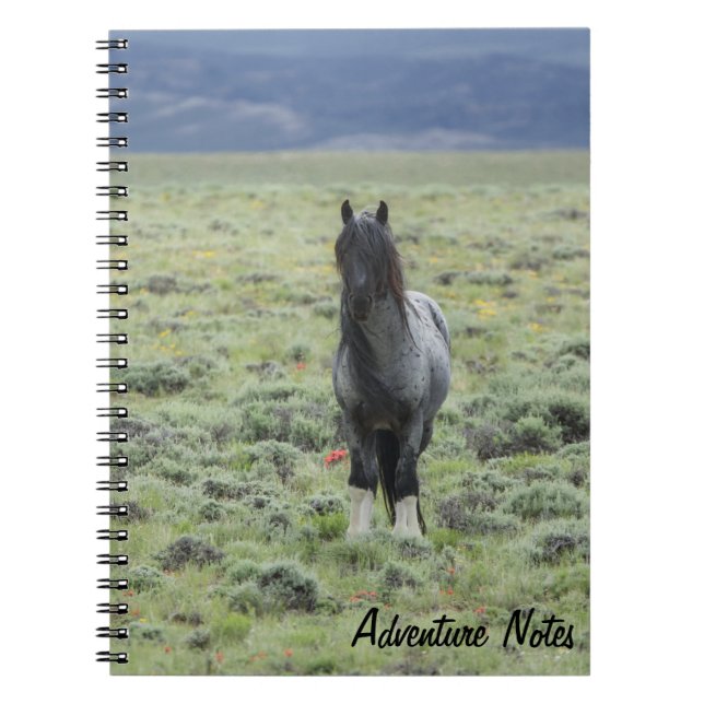 Spiral Notebook w/ wild Blue Zeus  (Front)