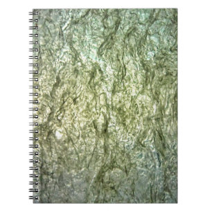 Spiral Photo Notebook