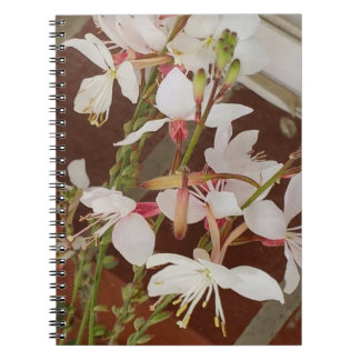 Spiral Photo Notebook