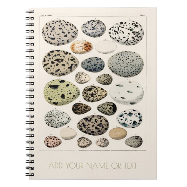 SPIRAL PHOTO NOTEBOOK : VINTAGE BIRDS EGG CHART  (Front)