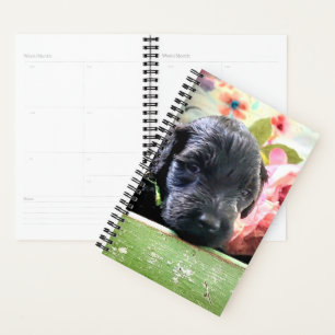 Spiral Planner Sweet Portuguese Water Dog