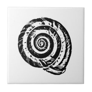 Spiral Seashell, Black and White  Tile
