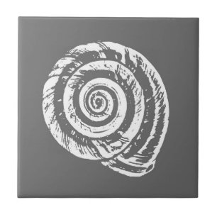 Spiral Seashell, Grey / Grey and White Tile