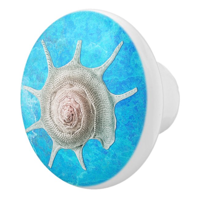 Spiral Shell "Beach Life" Ceramic Knob (Right)