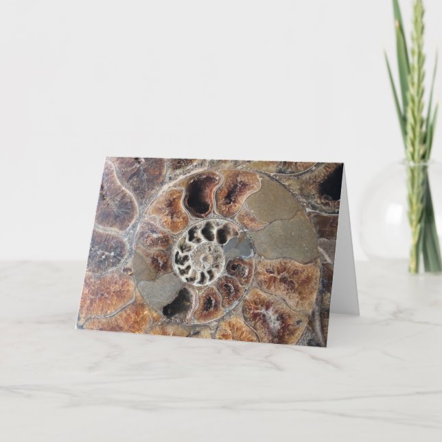 Spiral Shell Fossil Blank Greeting Card (Front)