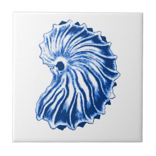 Spiral Shell, Indigo Blue and White Tile