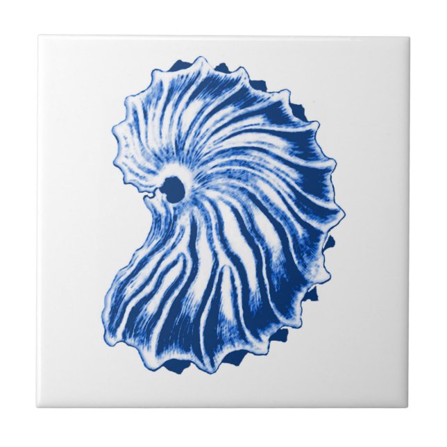 Spiral Shell, Indigo Blue and White Tile (Front)