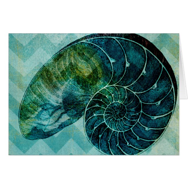 Spiral Turquoise Conch Shell (Front Horizontal)