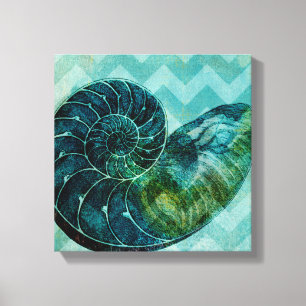 Spiral Turquoise Conch Shell Canvas Print