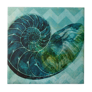 Spiral Turquoise Conch Shell Tile