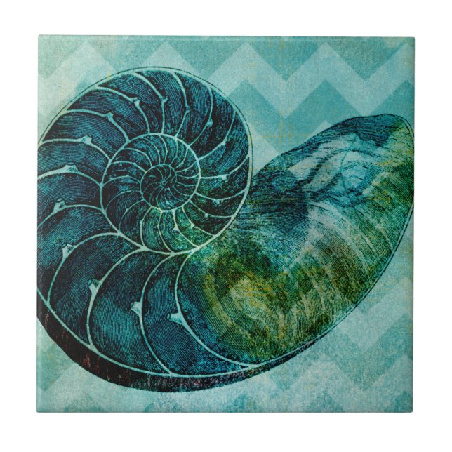 Spiral Turquoise Conch Shell Tile (Front)